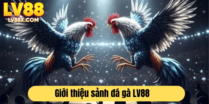 Giới thiệu sảnh cá cược đá gà LV88 