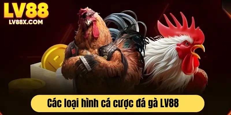 Top loại hình cá cược phổ biến nhất tại đá gà LV88 