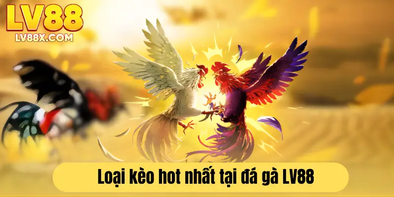 Các loại kèo siêu hot được lòng cược thủ LV88 