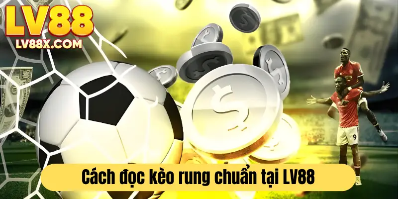 Hướng dẫn đọc kèo rung chuẩn xác, nâng cao kết quả cá cược 