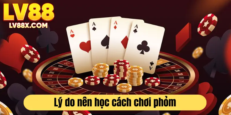 Lý do nên tìm hiểu cách chơi bài phỏm 